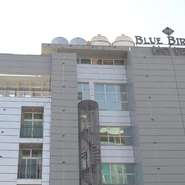 Blue Birds International Hotel, מלון באדיס אבבה