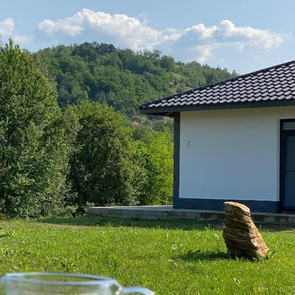 Mountain House Transalpina, hotel in Novaci