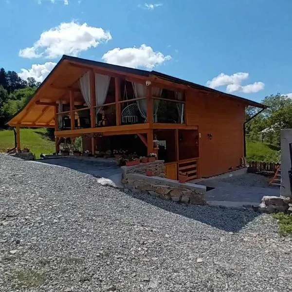 Chalet Alina, hotel in Borşa