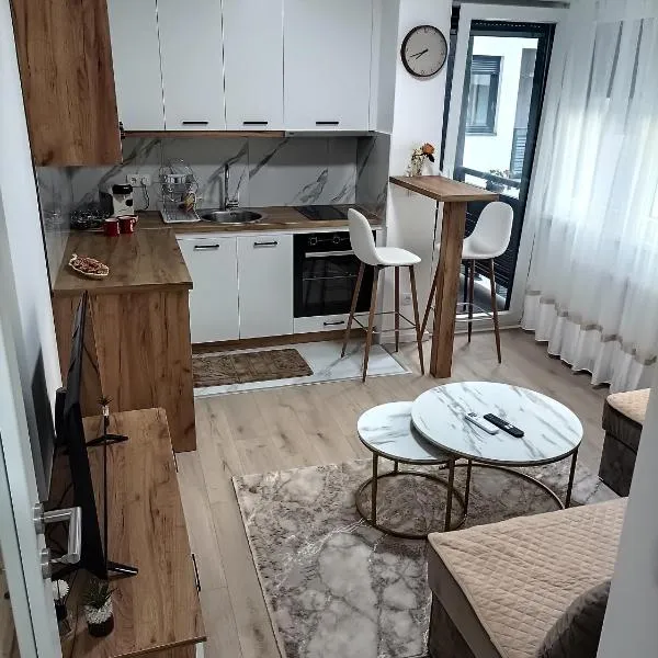 "INKOGNITO Centar" Apartman，位于布尔奇科的酒店