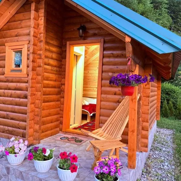 Vojinov kutak, hotel di Mojkovac