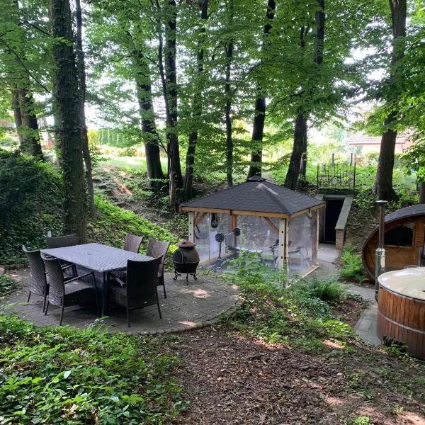 Studio SPA z leśną sauną, jacuzzi , w okolicy Cieszyn, hotel in Simoradz