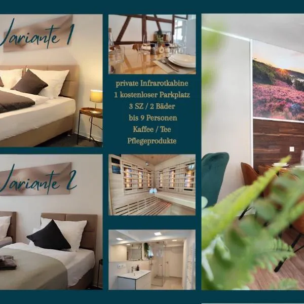 ApartZ - Celle Altstadt - bis 9 Personen, 3 SZ, Infrarotsauna, Parkplatz, W-LAN, Dachterrasse, hotel v destinaci Celle