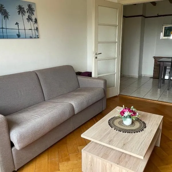 Appartement de 3 chambres à coucher, hotel v destinaci Lausanne