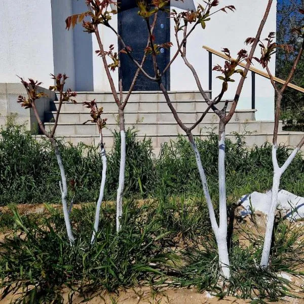 Морской бриз, hotel in Aktau
