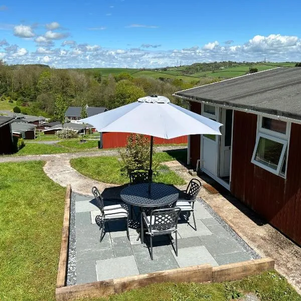 Elm Rise Place, hotel in Llangain