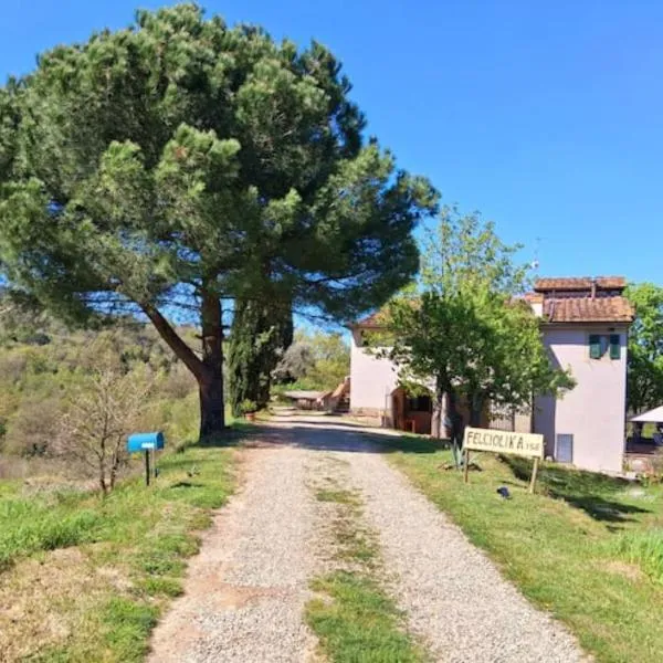 Felciolina - Medieval Country House, hotel in Troghi