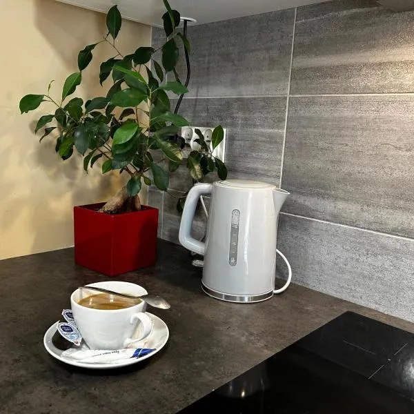 Apartamenty pod Szczęśliwym Koniem, hotel di Łoźnica