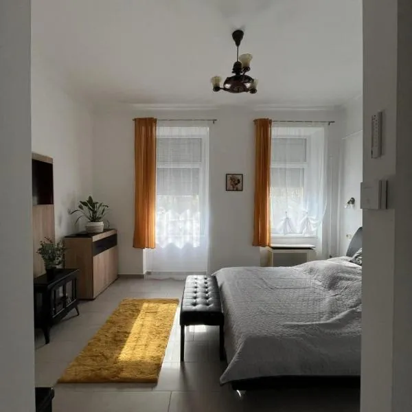 Lidvina Apartman、ニーレジハーザのホテル