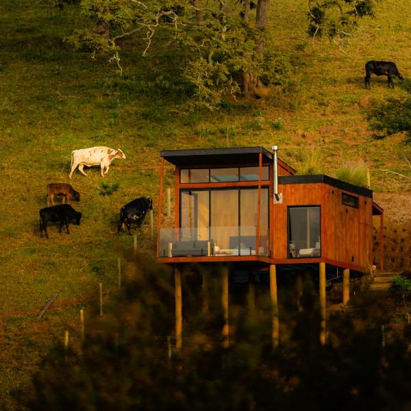 Cabana Romântica - Banheira com vista, teto de vidro, sauna, ofurô no deck e telão de cinema