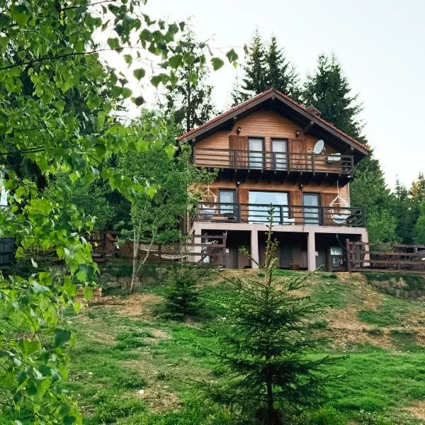 Family Nest Baisoara perfect for families, hotell sihtkohas Muntele Băişorii