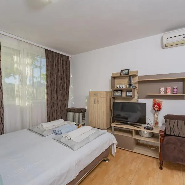 Mijailovic apartmani PARKING WI FI AIR CONDITION FREE, hotel in Kaluđerac