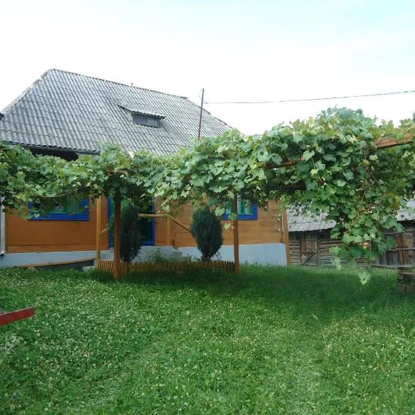 Casa din Dâmb, hotel in Breb