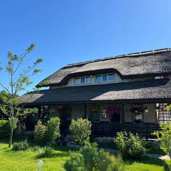 Pensiunea Andra, hotel v destinaci Jurilovca