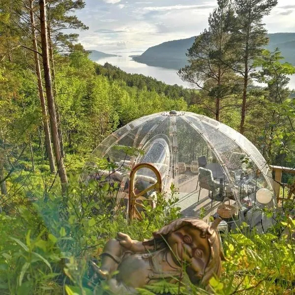 Glassigloo med panoramautsikt - Nordlys og stjernehimmel - Fosen, hotelli kohteessa Husby