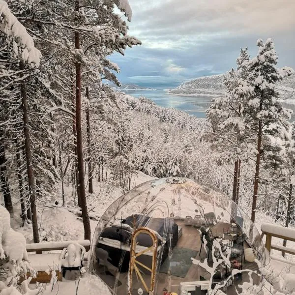 Sørfjorden Eye Iglo - Fosen، فندق في Husby
