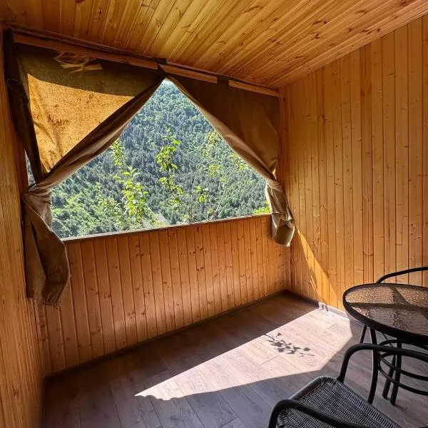 Guest House Saoti, hotel in Shatili