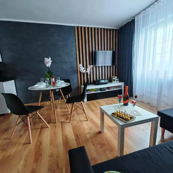 APARTAMENT CHEŁMSKO - rowery gratis, hotel in Chełmsko Śląskie