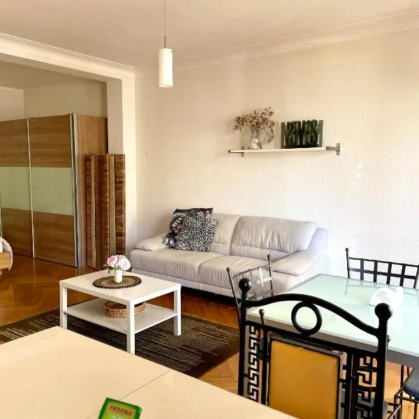 Appartement à 9 minutes à pied de la gare de Lausanne, hotel in Lausanne