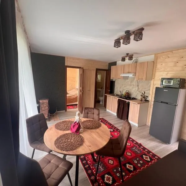 Гармонія біля річки, hotel in Skole