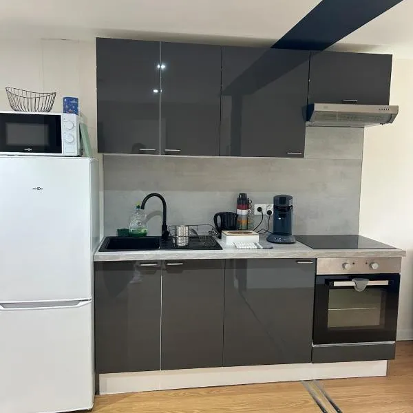 T3 - 2 Chambres et BZ - Vieux Vichy, hotel in Vichy