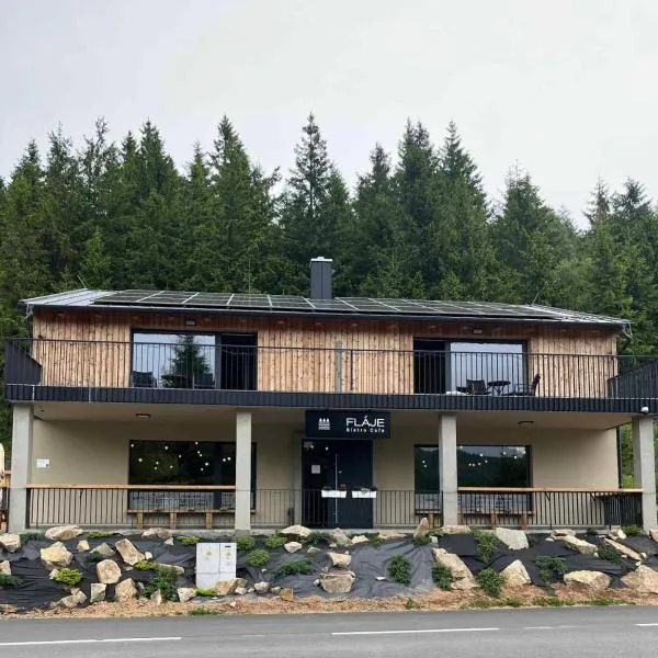 Fláje Apartmány, hotel v destinaci Český Jiřetín