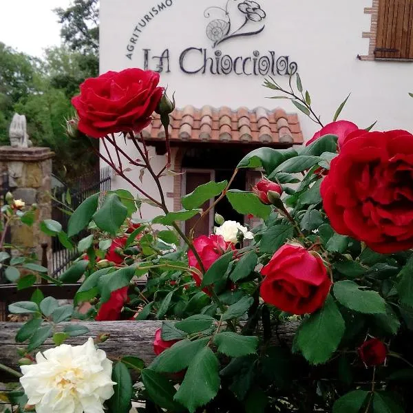 Agriturismo La Chiocciola, hotel v destinácii Poggio Murella