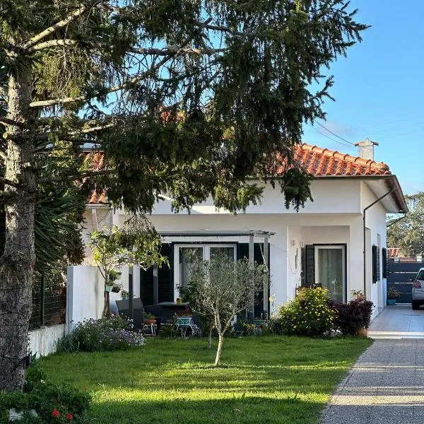 Casa das Camélias, hotel v destinaci Aveiro