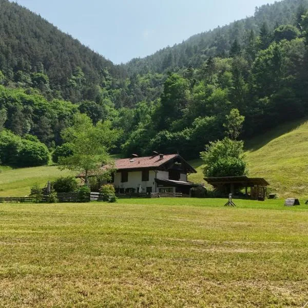 Chalet Beatrice, hotel in Ledro