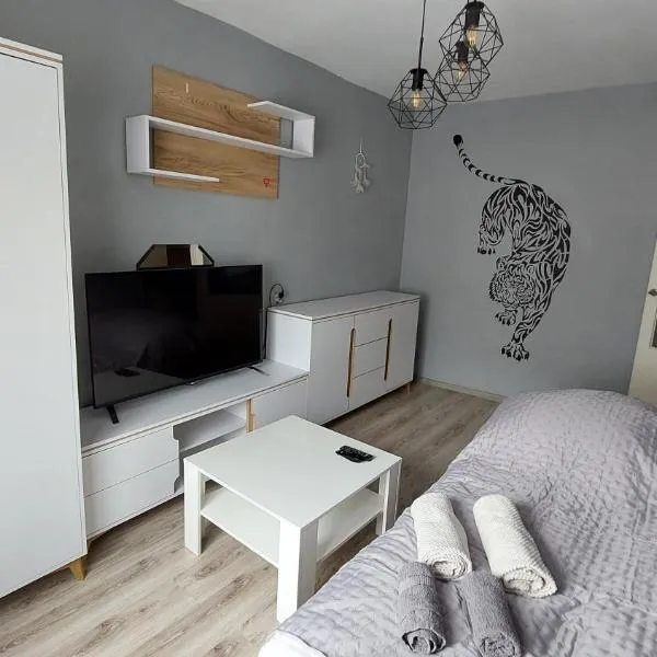 MagMar Studio Byczyna, hotel di Byczyna