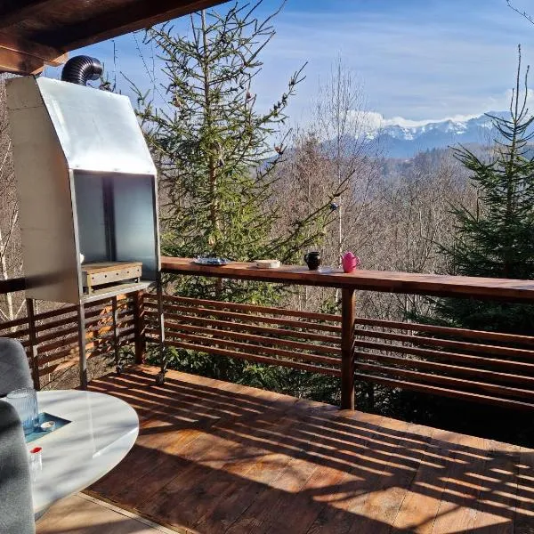 Chalet Glasul Padurii，位于莫伊西德约斯的酒店