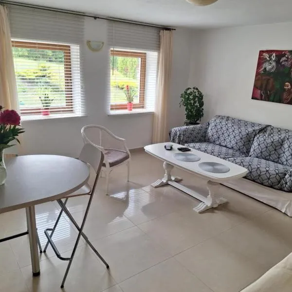 Apartament4you - Szczycionek, hotel di Korpele