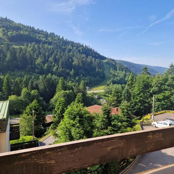La Bresse OURSON, hotel u gradu 'La Bresse'