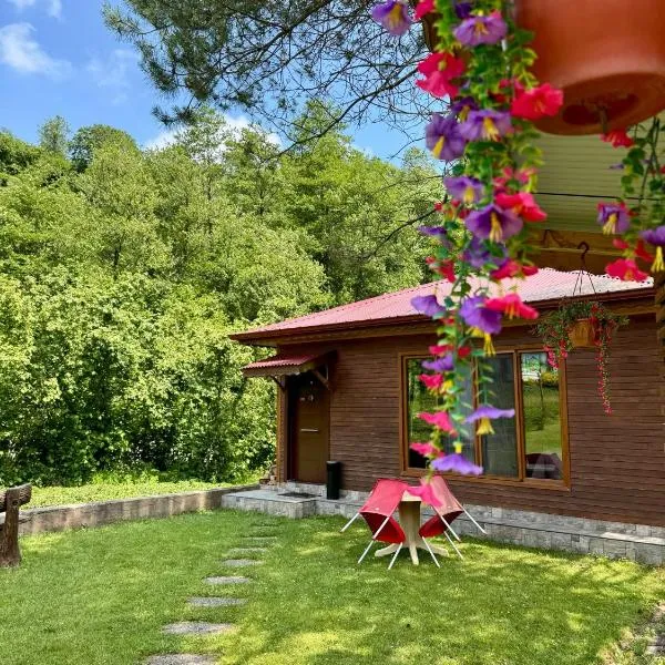 pınar kır evi, hotel Artvinban