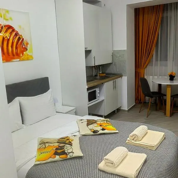 Honey Studio, hotel in Onești