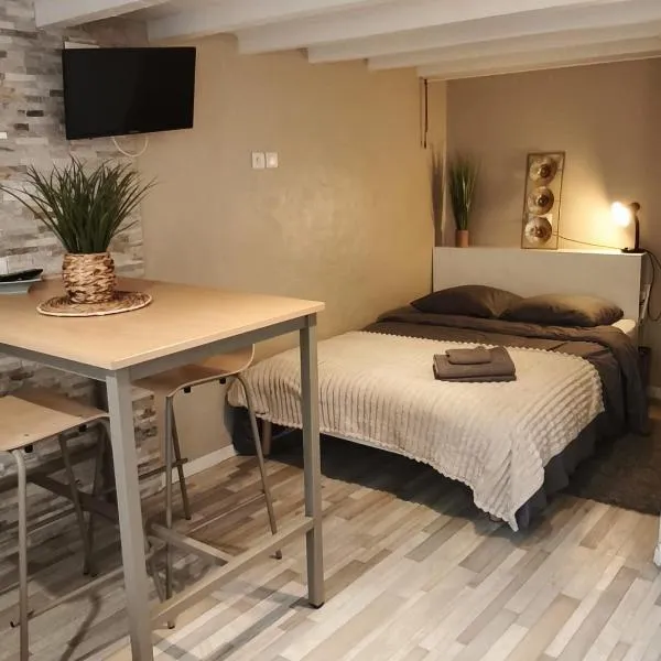 Meublé d'affaires et de tourisme, hotel in Aurillac
