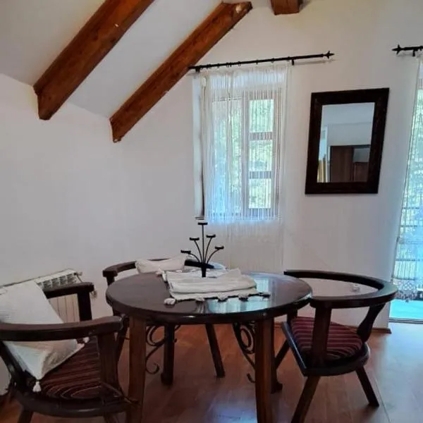 VD Forest villa, hotel in Cetinje