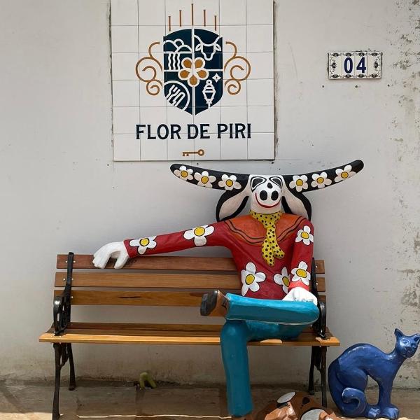 Pousada Flor de Piri