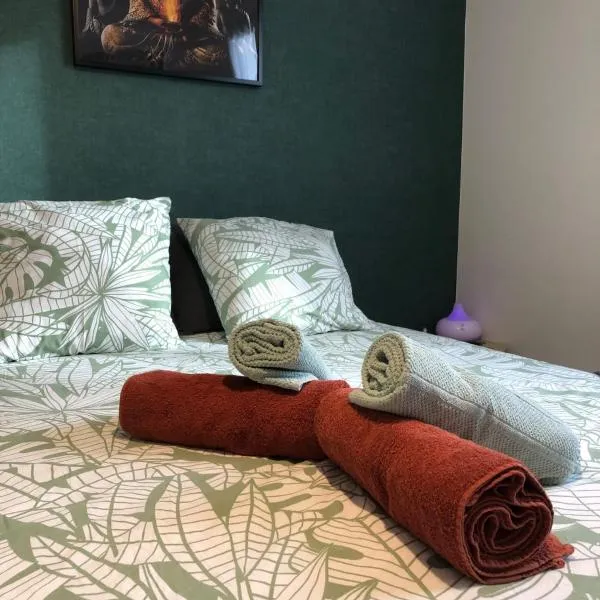 Appartement Lumineux-Coeur de ville & plages, hotel v destinaci Concarneau