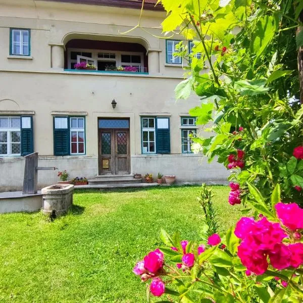 Vila Jasna, hotel u gradu Radovljica