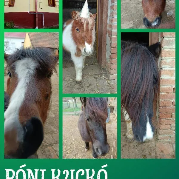 Póni Kuckó Vendégház és Minifarm, hotel v destinaci Hosszúvölgy