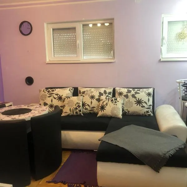 Apartment Danube, hotel in Apatin