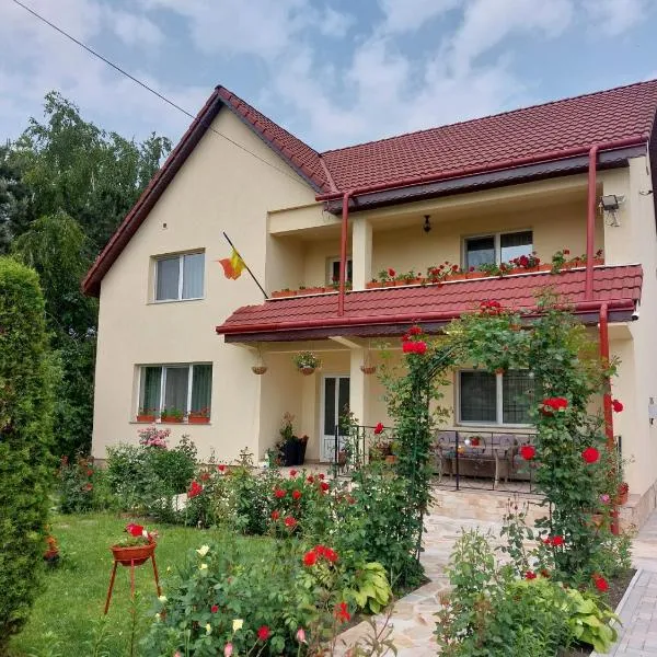 Steaua Nordului, hotel v destinaci Tîrgu Neamţ