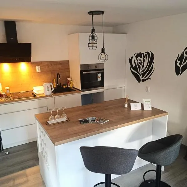 Studio apartman Kod Ruže, hotel in Tuhelj