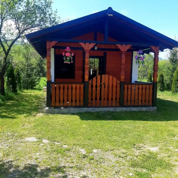 Casa Lucean, hotel v destinaci Săpînţa