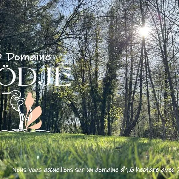 cabane ô domaine södjé, hotel di Saint-Yrieix-sous-Aixe