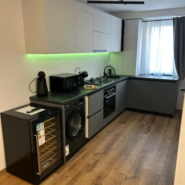 Apartament modern zona Aeroport, hotel in Sînnicoară