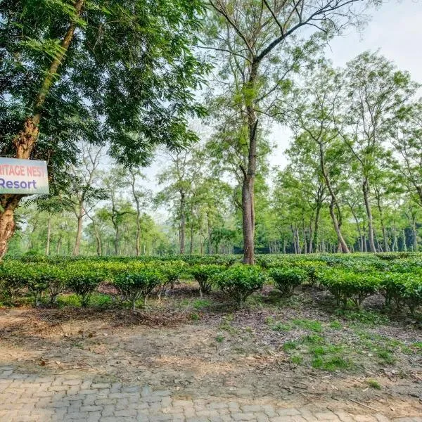 Hotel O Heritage Nest Resort Kazirnga, hotel v destinaci Kaziranga