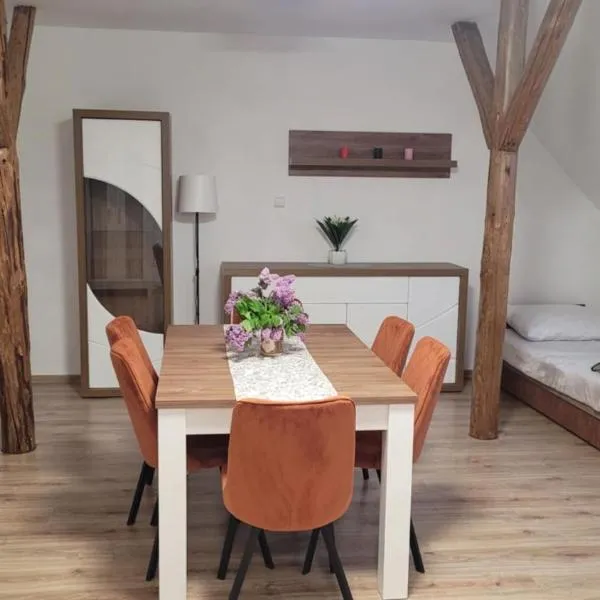 Agroturystyka Błądkowo 20A, Dom 11 miejsc, hotel v destinaci Dobra