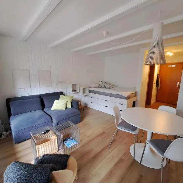 Le Flocon Studio in Ovronnaz close to the baths, hotel in Ovronnaz